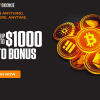 Low Rollover Offshore Betting Sites Like Bovada and MyBookie