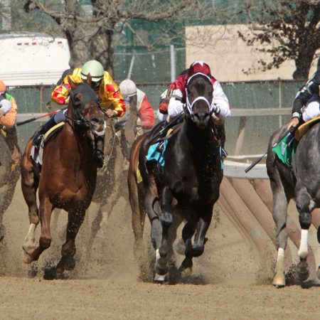 The Ultimate Guide: How to Place a Horse Racing Bet Online Like a Pro