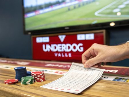 Betting on Underdogs: How to Find Value & Win Big