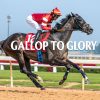 Gallop to Glory: Top 7 Best Horse Racing Betting Sites for 2026