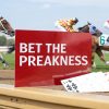 How to Bet on the Preakness Stakes A Bettors Guide