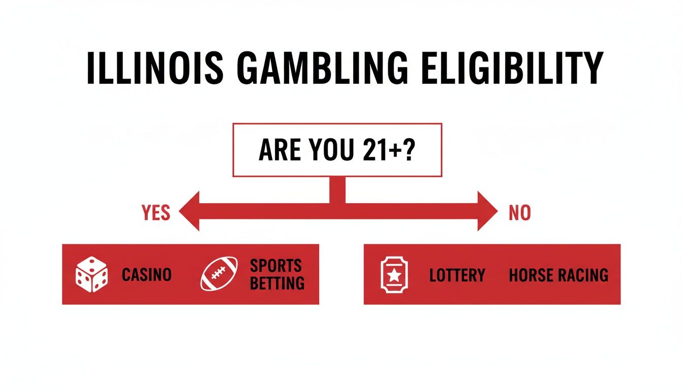 Gambling Age Illinois Your Guide to 2026 Betting Laws 1 Flowchart detailing Illinois gambling eligibility: 21+ for casino and sports betting, under 21 for lottery and horse racing.