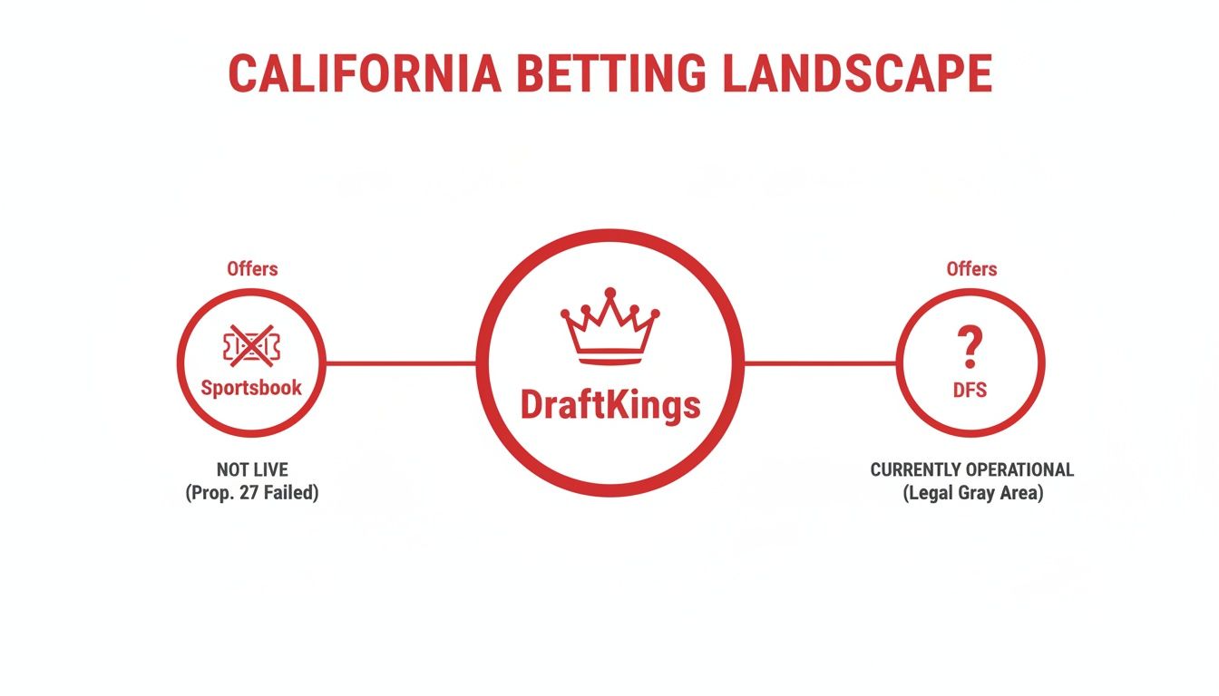 DraftKings' California betting landscape: sportsbook not live, Daily Fantasy Sports operational in a legal gray area.