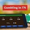 Gambling in TN: Your 2026 Offshore Betting Guide