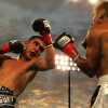 How to Bet on Combat Sports Without Misreading the Markets