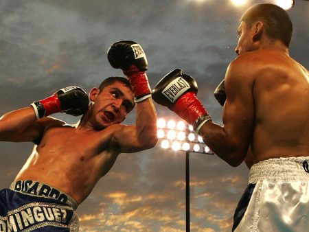 How to Bet on Combat Sports Without Misreading the Markets
