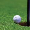 Sportsbooks Offering Each-Way Golf Betting and Favorable Place Terms