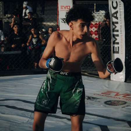 UFC Betting Sites Compared: Markets, Limits, and Access