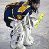 What Counts as an NHL Shot on Goal for Props?